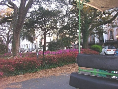 03-23 24 The Carriage Ride